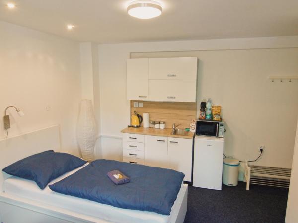 APARTHOTEL VÍTKOVICE : photo 3 de la chambre appartement