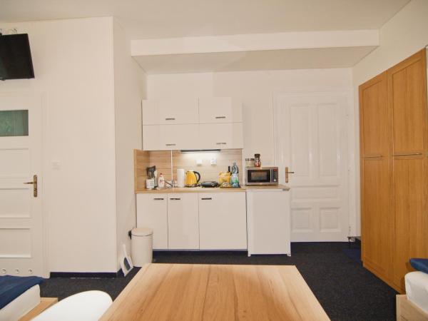 APARTHOTEL VÍTKOVICE : photo 3 de la chambre appartement supérieur