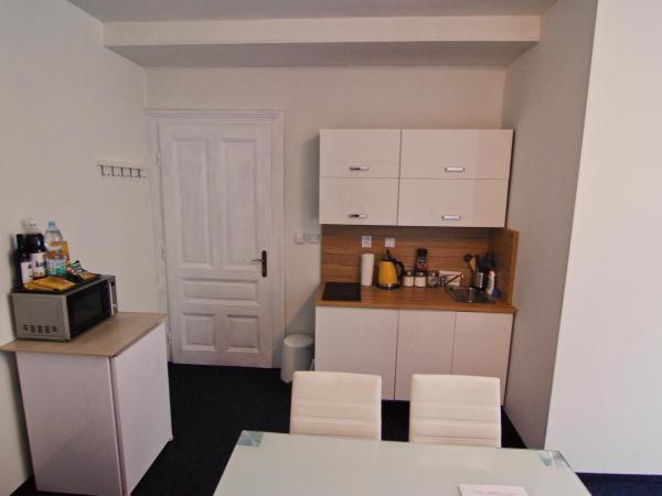 APARTHOTEL VÍTKOVICE : photo 4 de la chambre appartement supérieur