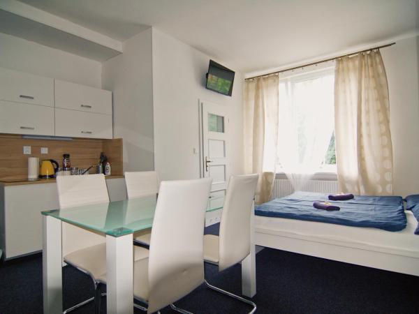 APARTHOTEL VÍTKOVICE : photo 3 de la chambre appartement supérieur