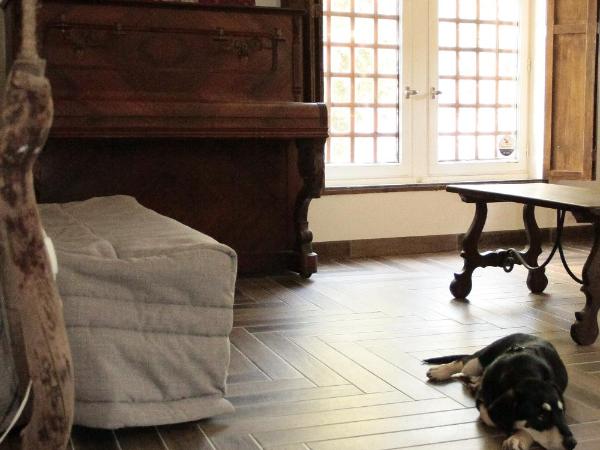 Hostel du lapin blanc : photo 1 de la chambre appartement - rez-de-chaussée