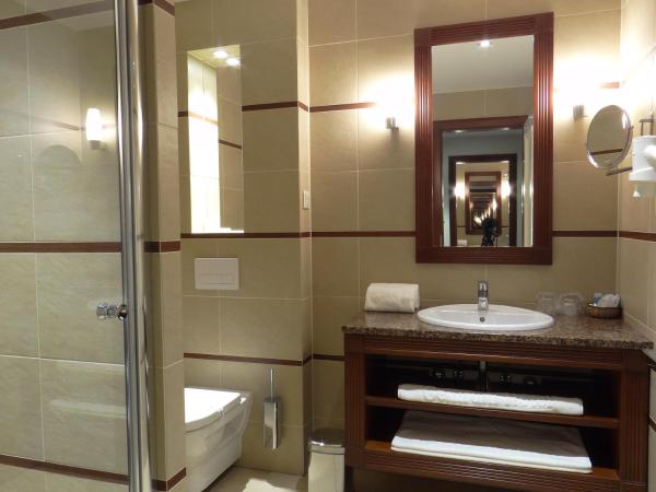 Centrum Hotel : photo 1 de la chambre chambre double ou lits jumeaux supérieure