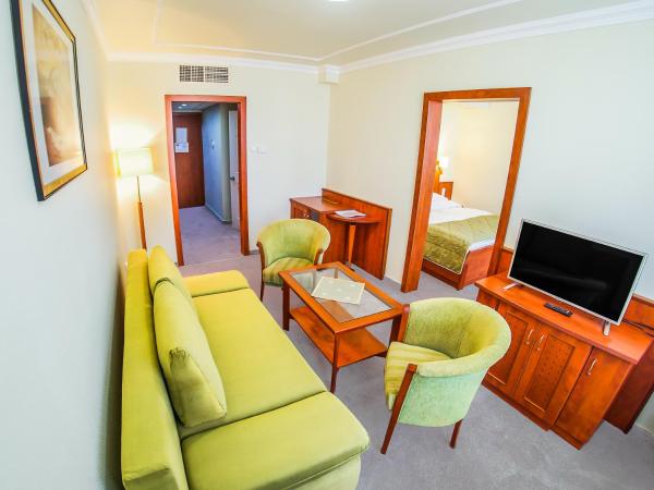 Hotel Silver : photo 1 de la chambre one-bedroom apartment with balcony - main building