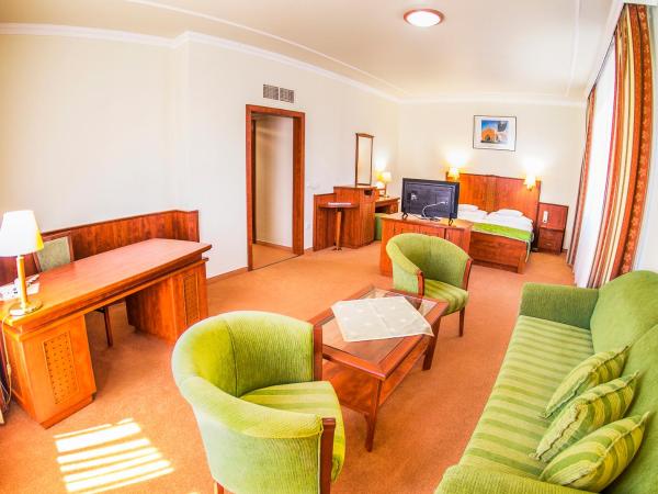 Hotel Silver : photo 2 de la chambre deluxe apartment with balcony - new building