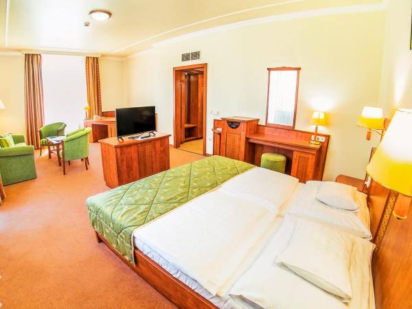 Hotel Silver : photo 1 de la chambre deluxe apartment with balcony - new building