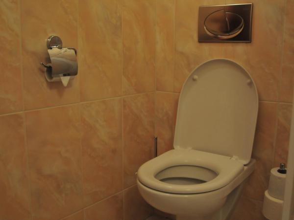 Hotel Pegas Brno : photo 4 de la chambre chambre simple