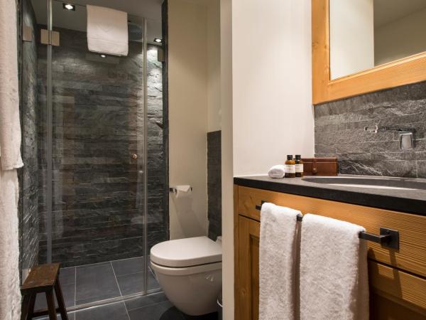 La Cordée des Alpes SUP : photo 2 de la chambre appartement deluxe