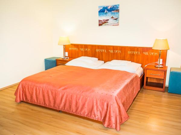 Hotel Silver : photo 1 de la chambre apartment with pool view - bio-comfort building