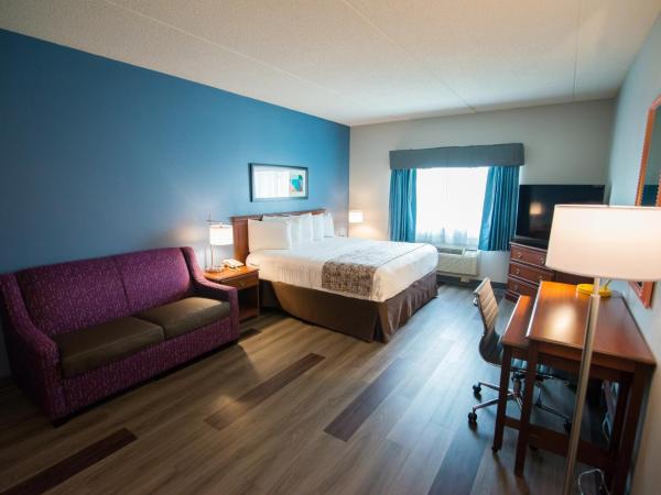 SureStay Plus by Best Western Louisville Airport Expo : photo 8 de la chambre chambre lit king-size avec canapé-lit