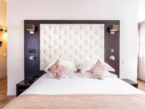 Best Western Marquis de la Baume : photo 3 de la chambre chambre lit queen-size classique