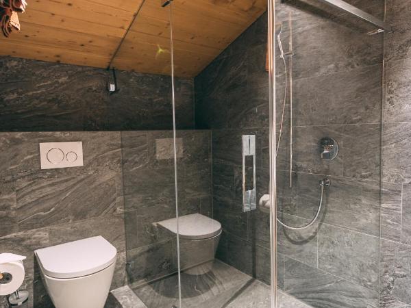 Apart Lodge belMont : photo 7 de la chambre appartement avec vue sur la montagne