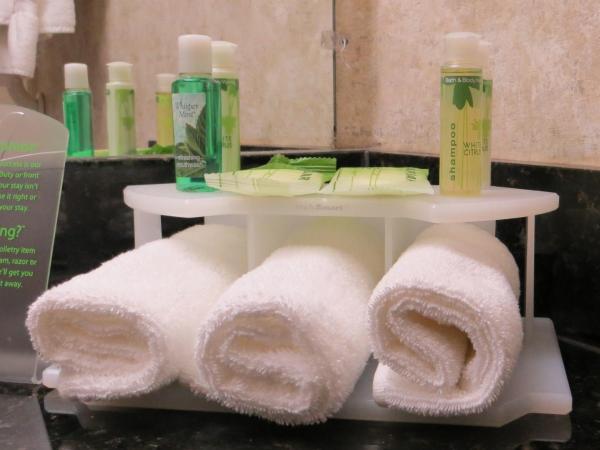 Holiday Inn Express Indianapolis South, an IHG Hotel : photo 1 de la chambre chambre standard