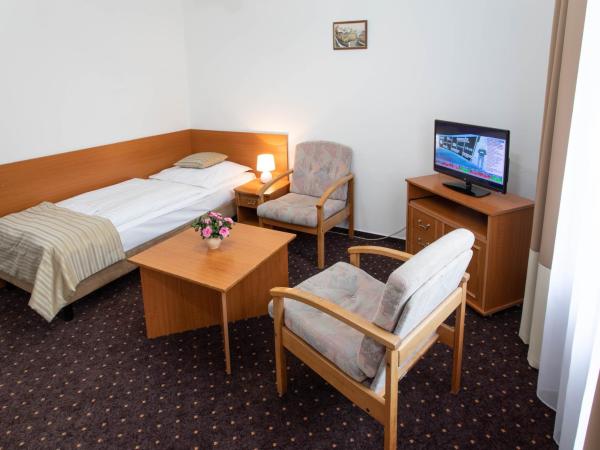 Novoměstský hotel : photo 6 de la chambre appartement avec balcon