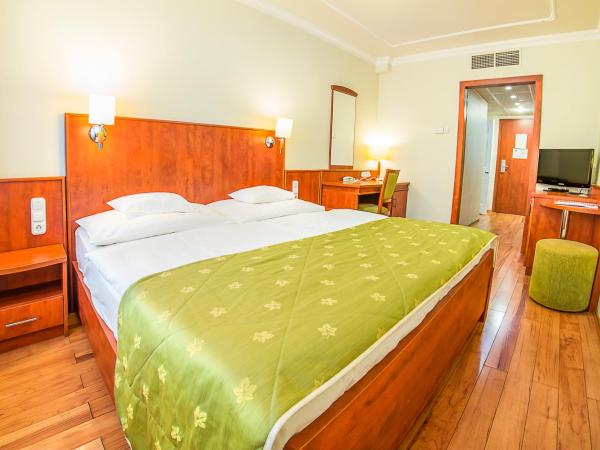 Hotel Silver : photo 2 de la chambre standard queen room without balcony - main building