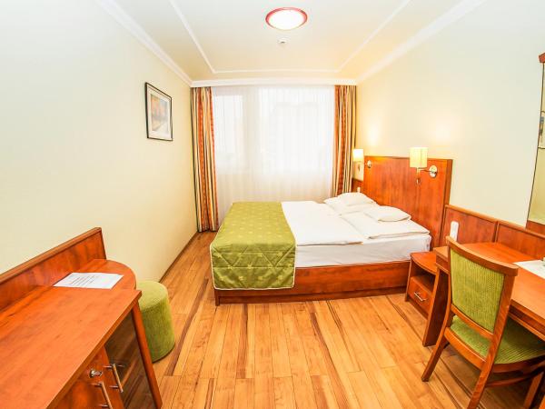 Hotel Silver : photo 1 de la chambre standard queen room without balcony - main building