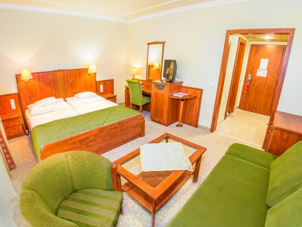 Hotel Silver : photo 1 de la chambre superior queen room - new building