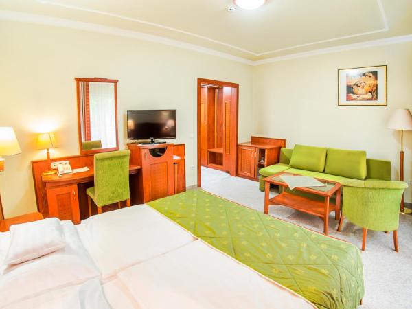 Hotel Silver : photo 2 de la chambre superior queen room - new building