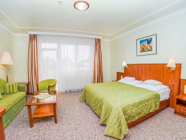 Hotel Silver : photo 2 de la chambre double or twin room with balcony - new building