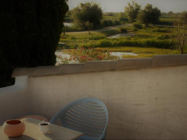 Mas Fandelou : photo 3 de la chambre chambre double avec terrasse - premier Étage