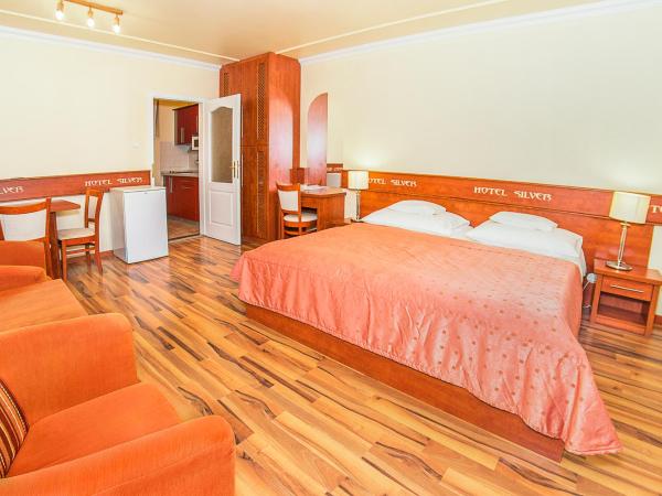 Hotel Silver : photo 6 de la chambre economy twin room with kitchen - bio-comfort building