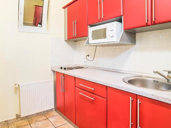 Hotel Silver : photo 2 de la chambre economy twin room with kitchen - bio-comfort building