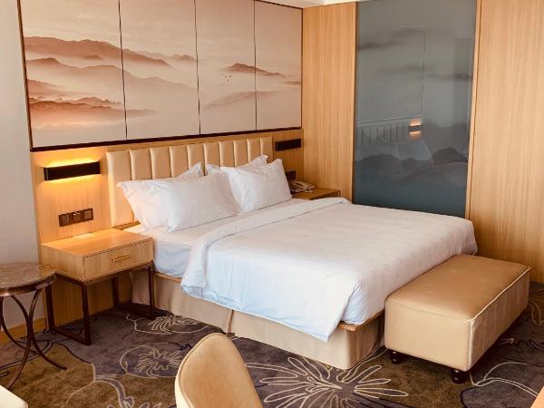 Metropolo Jinjiang Wuhan Optics Valley Science and Technology Exhibition Center : photo 5 de la chambre exquisite single room