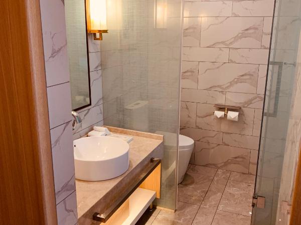 Metropolo Jinjiang Wuhan Optics Valley Science and Technology Exhibition Center : photo 4 de la chambre elegant business room