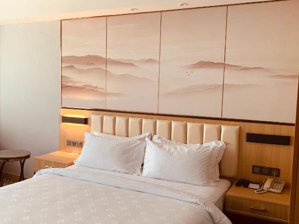 Metropolo Jinjiang Wuhan Optics Valley Science and Technology Exhibition Center : photo 5 de la chambre chambre double affaires