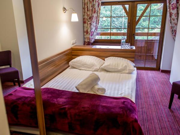 Leśne Patio : photo 4 de la chambre chambre double Économique avec petite salle de bains