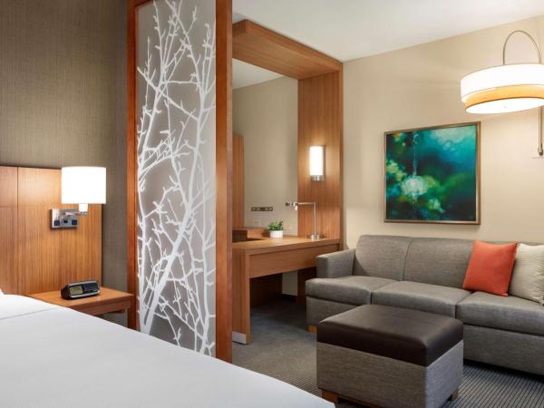 Hyatt Place Virginia Beach Town Center : photo 5 de la chambre chambre lit king-size avec canapé-lit