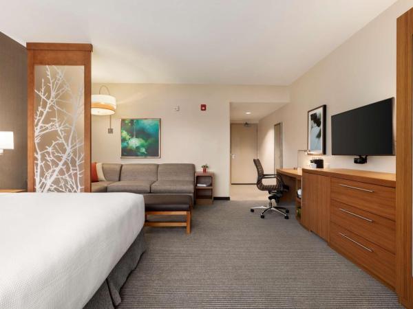 Hyatt Place Virginia Beach Town Center : photo 6 de la chambre chambre lit king-size avec canapé-lit