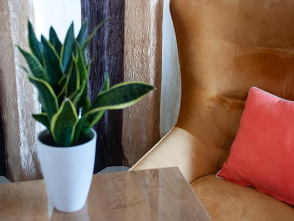 Hotel Isha : photo 3 de la chambre chambre simple