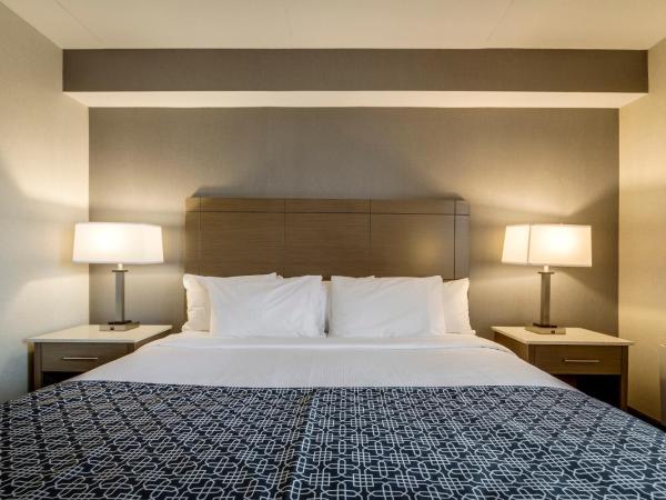 Monte Carlo Inn Airport Suites : photo 6 de la chambre chambre standard lit king-size