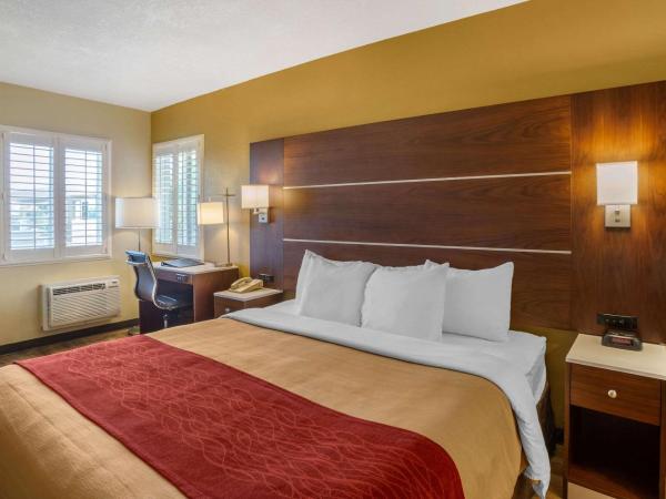 Comfort Inn San Diego Airport At The Harbor : photo 2 de la chambre chambre lit king-size standard - non-fumeurs