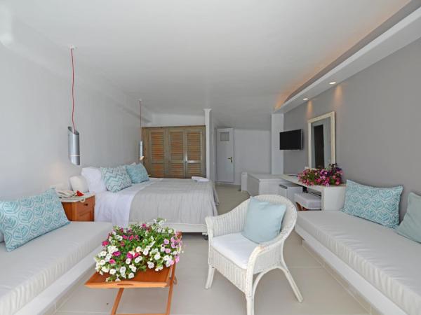 Mykonos View Hotel : photo 2 de la chambre suite avec vue sur la mer