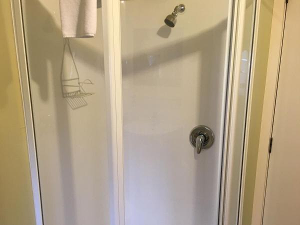 Woodlands Motels And Apartments : photo 9 de la chambre appartement supérieur