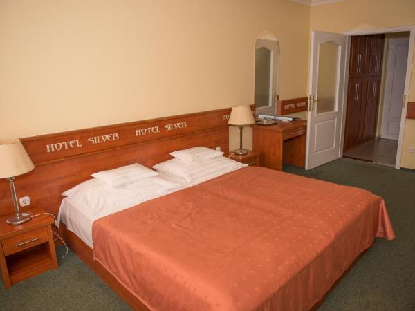 Hotel Silver : photo 2 de la chambre budget twin room - bio-comfort building