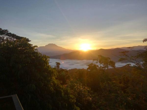 Kokol Haven Resort : photo 7 de la chambre chambre familiale