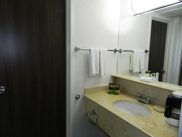 Hotel Villa Florida Veracruz : photo 4 de la chambre chambre double