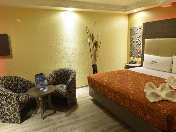Hotel Atizapan : photo 3 de la chambre suite