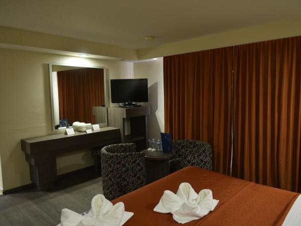 Hotel Atizapan : photo 4 de la chambre suite