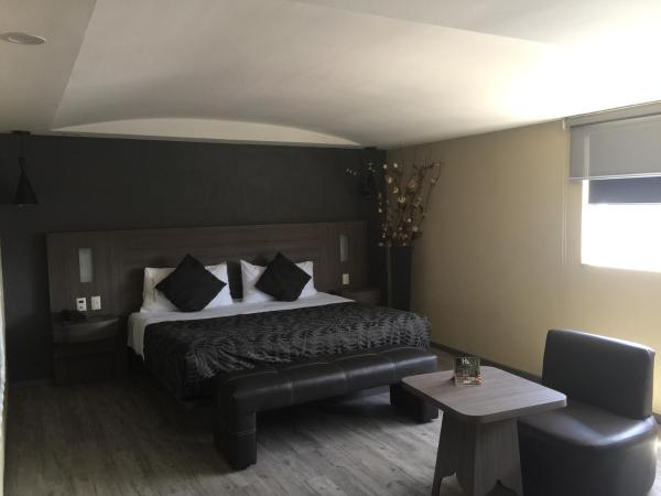 Hotel Atizapan : photo 4 de la chambre chambre simple