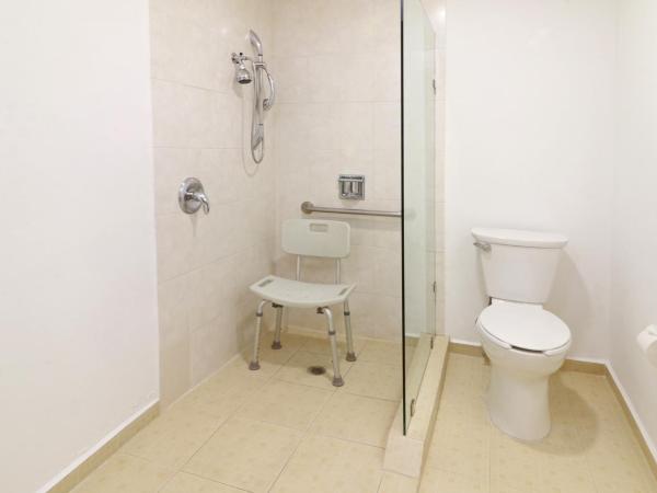 Wyndham Garden Monterrey Valle Real : photo 3 de la chambre chambre lit king-size - accessible aux personnes à mobilité réduite - non-fumeurs 