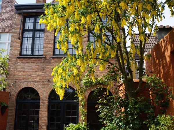 B&B Next Door : photo 3 de la chambre suite - vue sur jardin