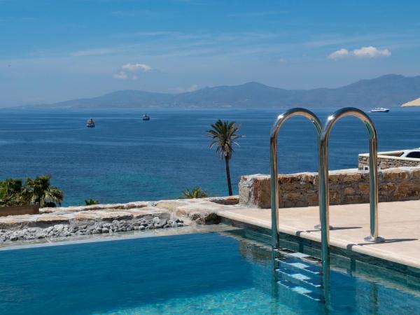 Mykonos Bay Resort & Villas : photo 7 de la chambre suite privée artistique de luxe avec jacuzzi extérieur et piscine privée - vue sur mer - annexe