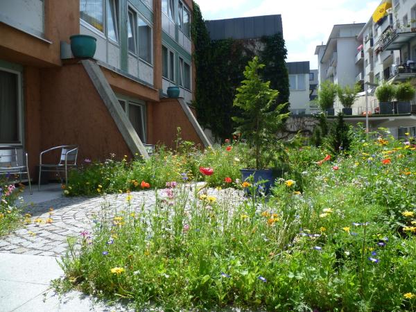 Abalon Hotel ideal : photo 2 de la chambre chambre double deluxe avec balcon