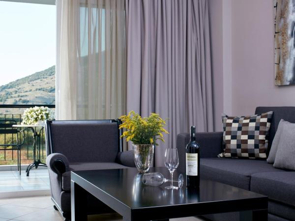 Aar Hotel & Spa Ioannina : photo 8 de la chambre suite