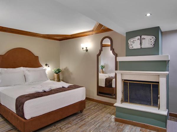 Frontzu Politia : photo 2 de la chambre chambre double