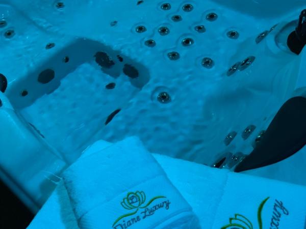 Diane Luxury 1 : photo 7 de la chambre suite avec jacuzzi