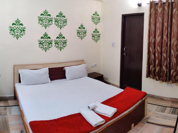 Madhav Guest House : photo 7 de la chambre chambre double standard - pas de climatisation